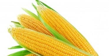 Как из початка кукурузы сделать попкорн
